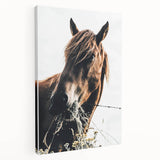 Grazing Grace - Rustic Horse Close-Up Art