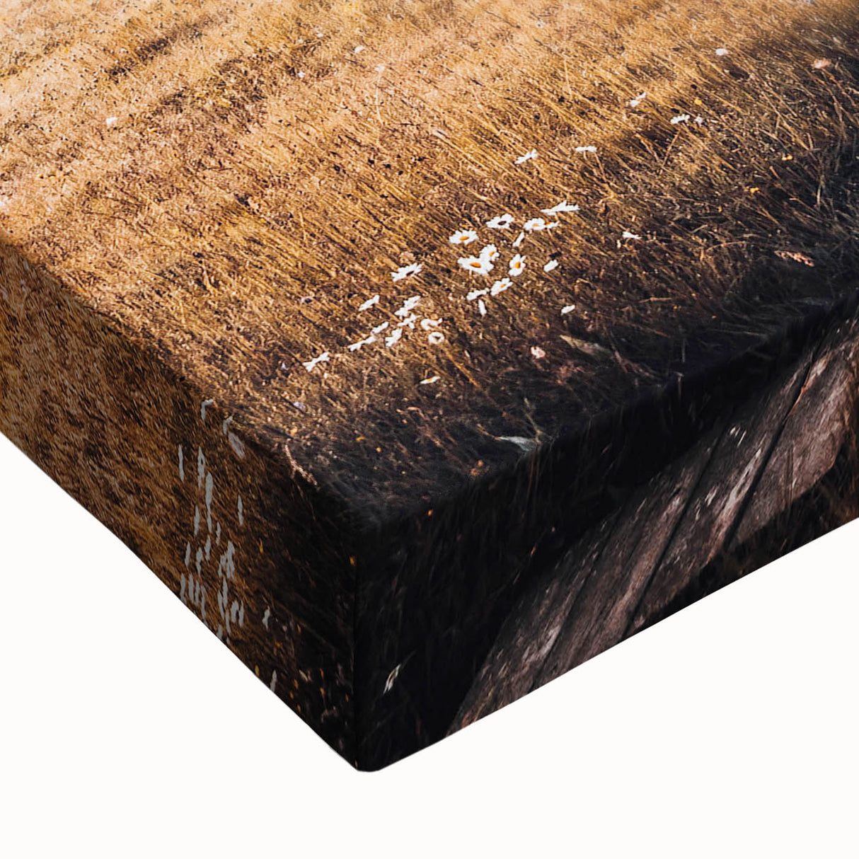 Alpine Retreat - Rustic Cabin Landscape Art