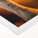 Rustic Goose Portrait Wall Art for Farmhouse and Nature-Inspired Decor