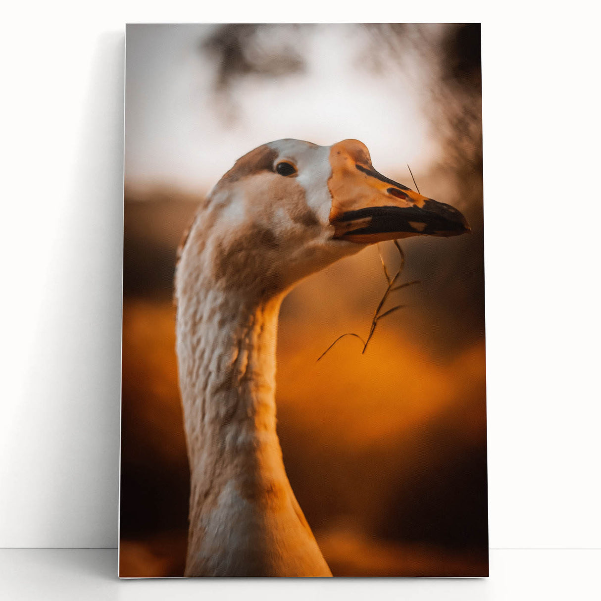 Rustic Goose Portrait Wall Art for Farmhouse and Nature-Inspired Decor