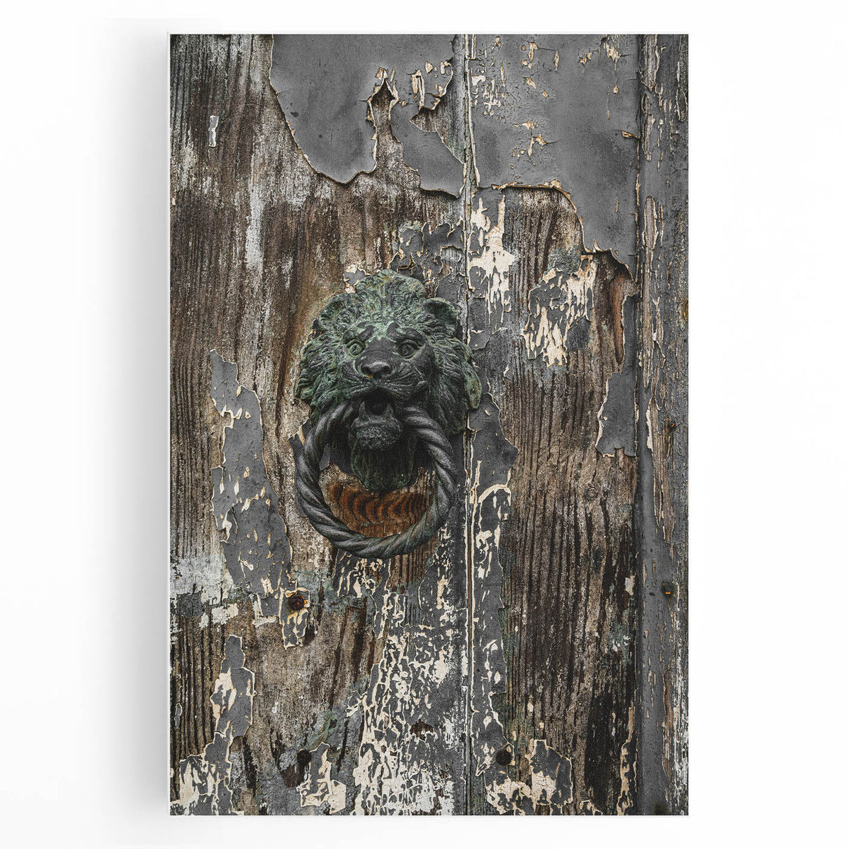Weathered Lion Door Knocker Wall Art – Rustic Elegance Decor