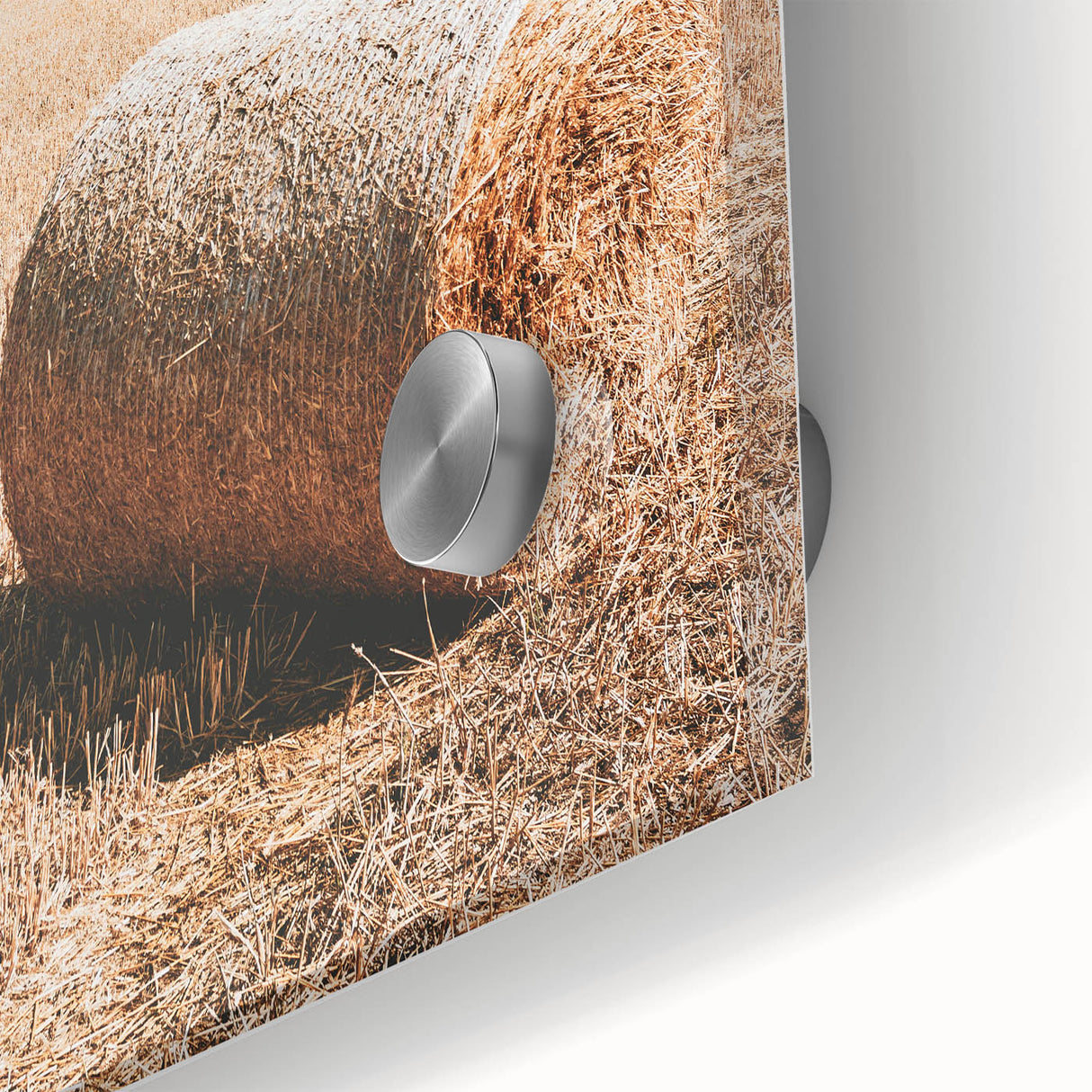 Golden Harvest - Rustic Farmland Art