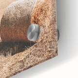 Golden Harvest - Rustic Farmland Art