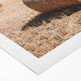 Golden Harvest - Rustic Farmland Art