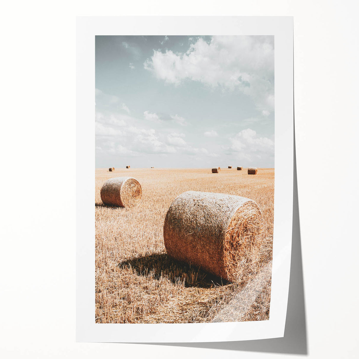 Golden Harvest - Rustic Farmland Art