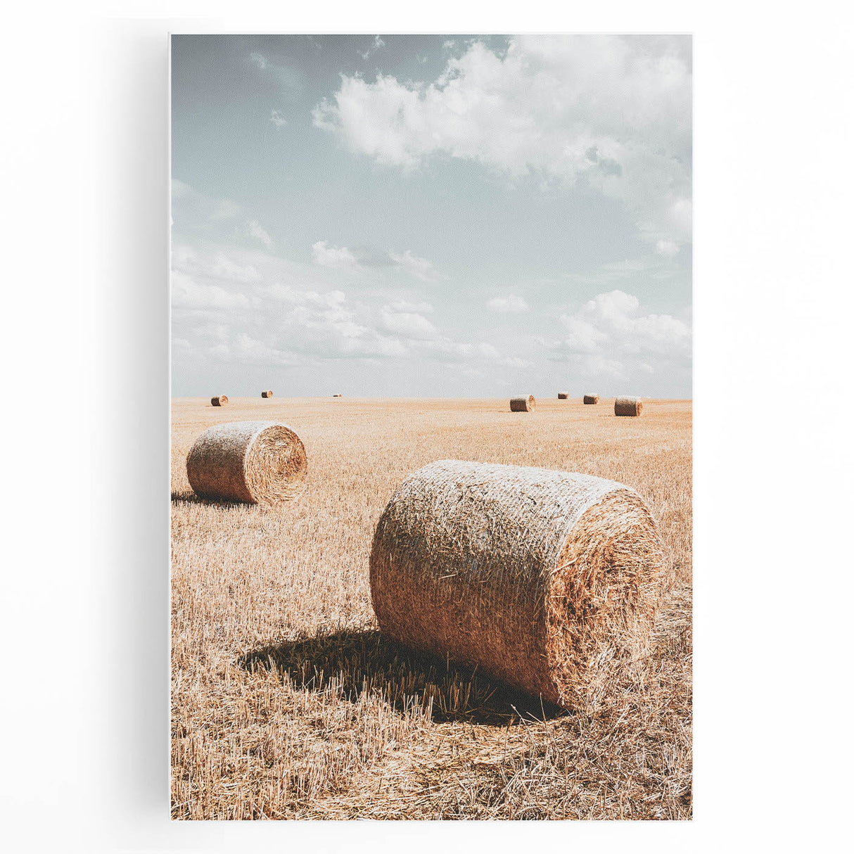 Golden Harvest - Rustic Farmland Art