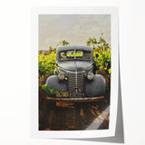 Vintage Car Vineyard Art - Rustic Farmhouse Wall Deco
