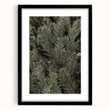 Evergreen Pine Needles Art - Rustic Nature Wall Decor