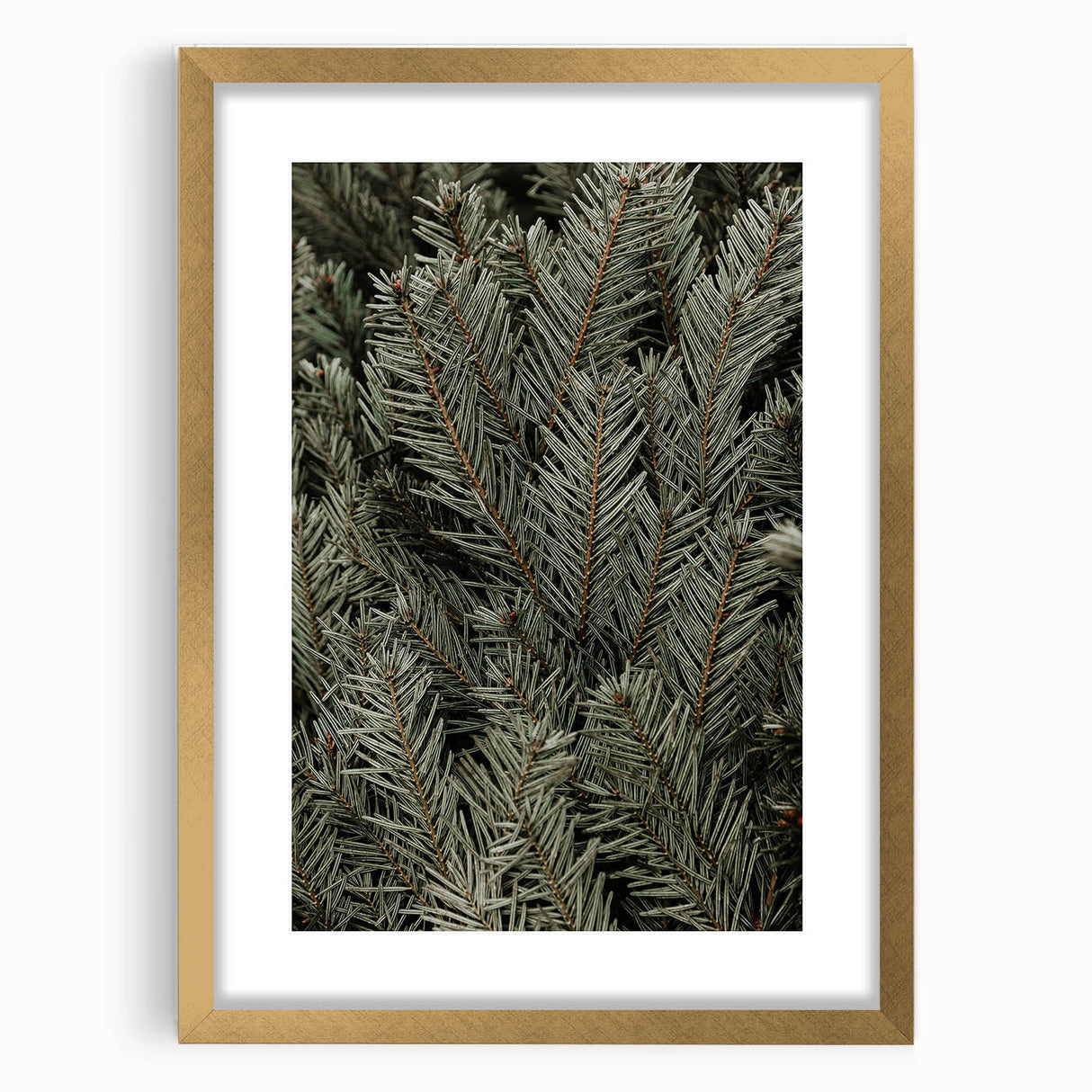 Evergreen Pine Needles Art - Rustic Nature Wall Decor