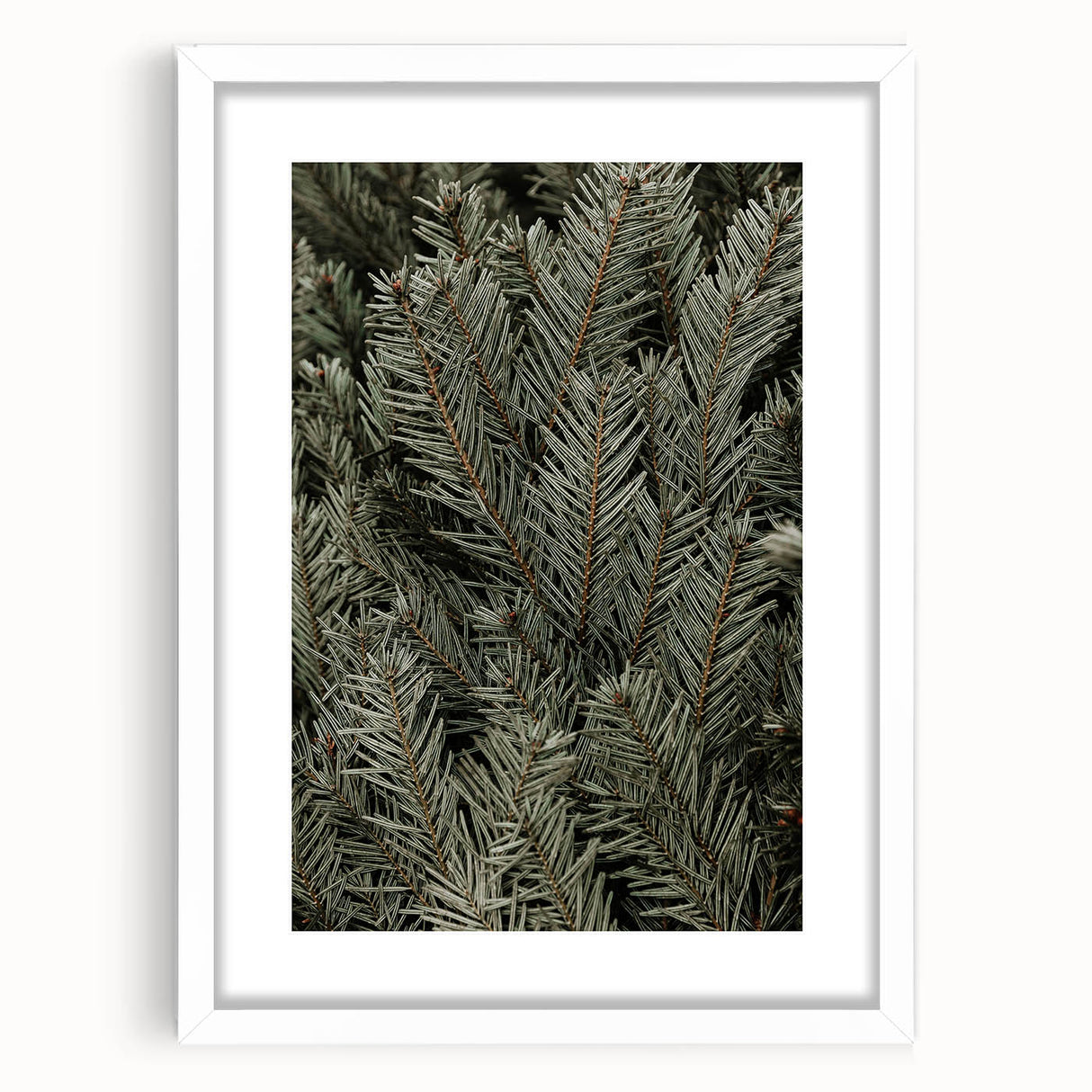 Evergreen Pine Needles Art - Rustic Nature Wall Decor