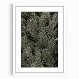 Evergreen Pine Needles Art - Rustic Nature Wall Decor