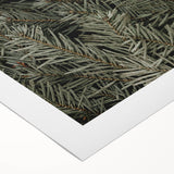 Evergreen Pine Needles Art - Rustic Nature Wall Decor