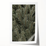 Evergreen Pine Needles Art - Rustic Nature Wall Decor