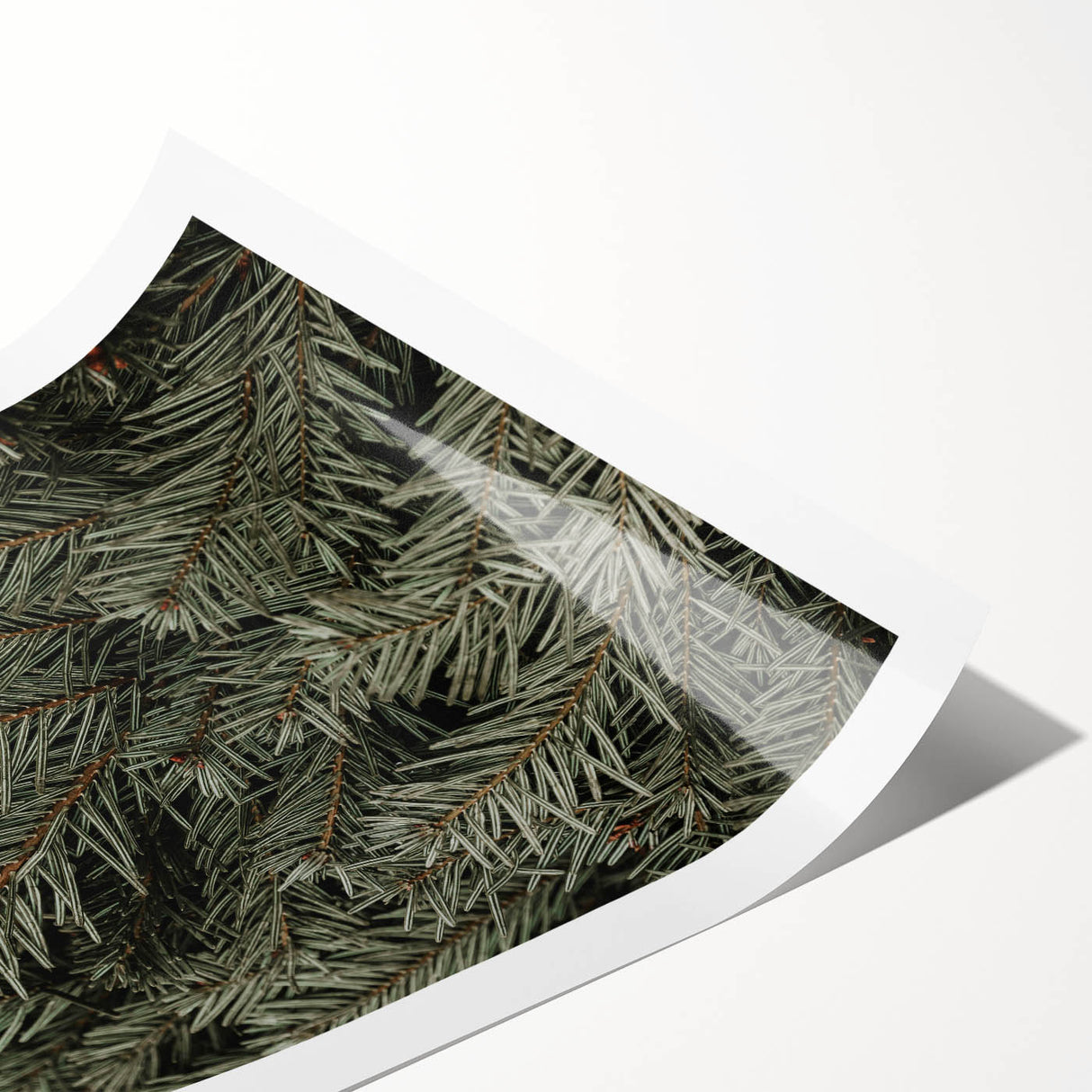 Evergreen Pine Needles Art - Rustic Nature Wall Decor