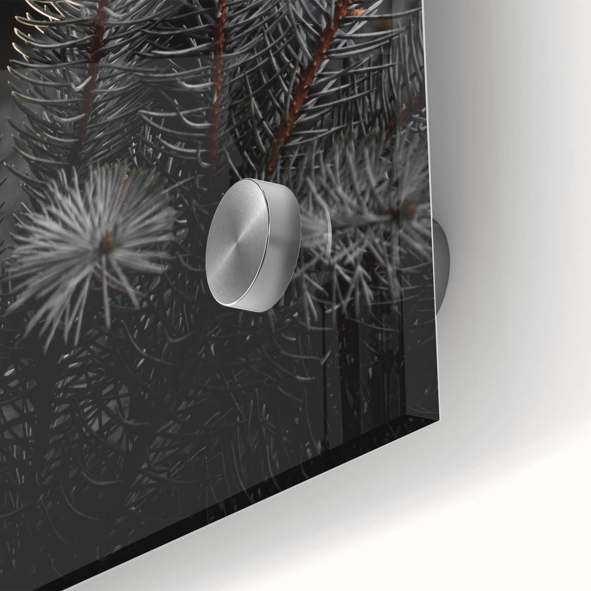 Whispering Pines - Dark Forest Rustic Wall Art