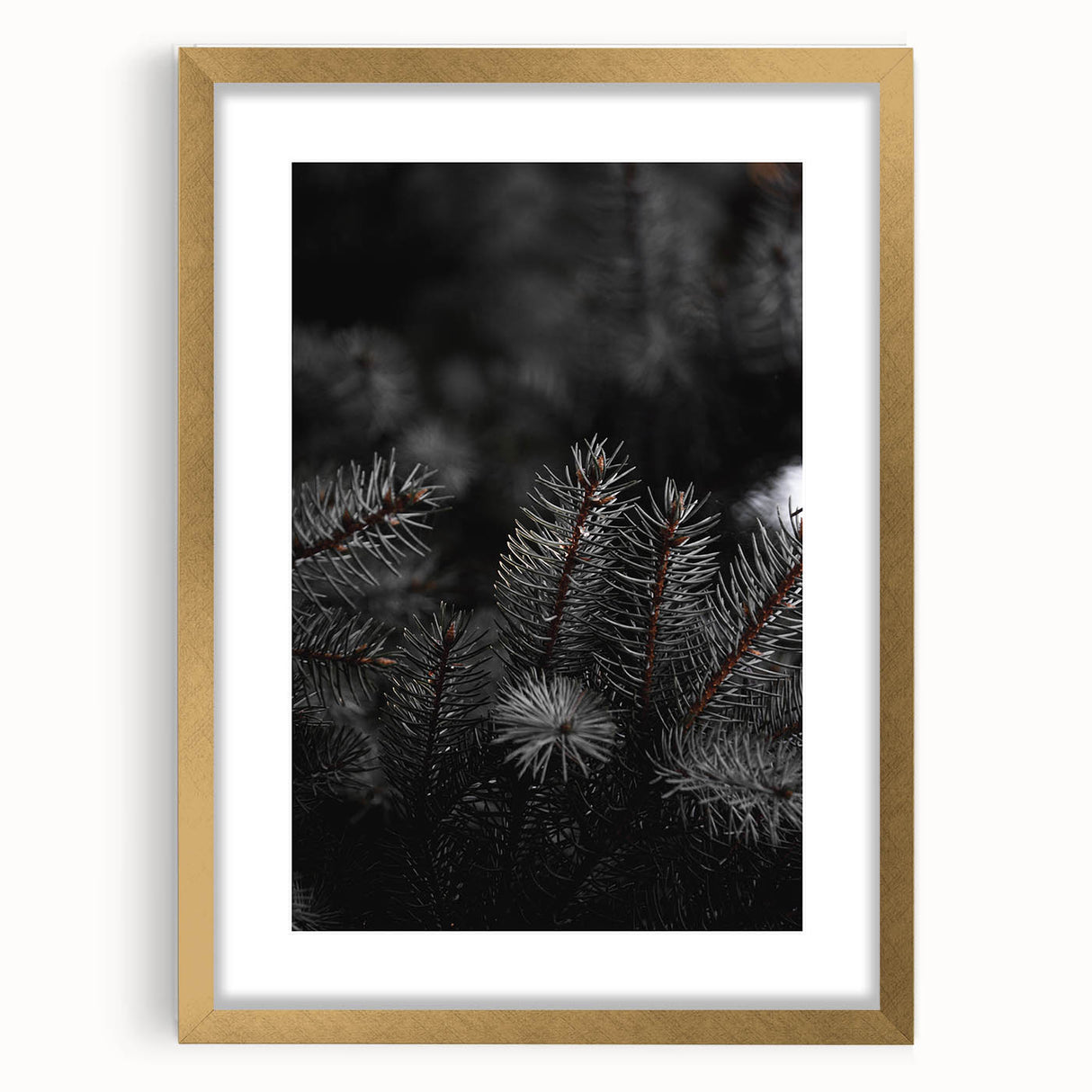 Whispering Pines - Dark Forest Rustic Wall Art