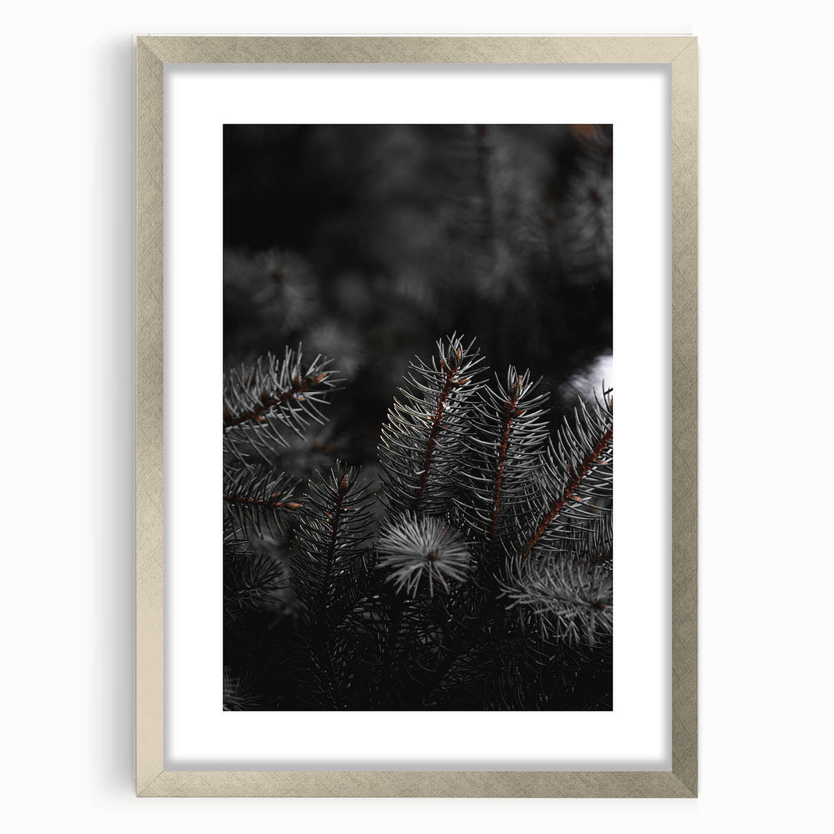 Whispering Pines - Dark Forest Rustic Wall Art