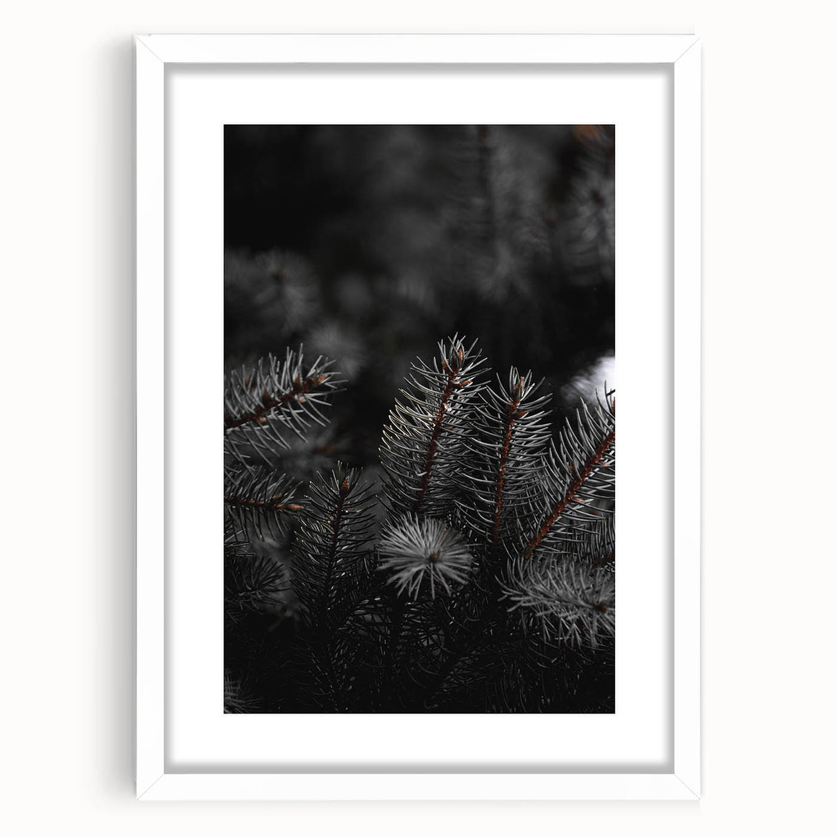 Whispering Pines - Dark Forest Rustic Wall Art