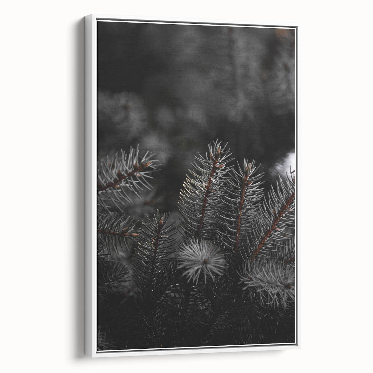 Whispering Pines - Dark Forest Rustic Wall Art