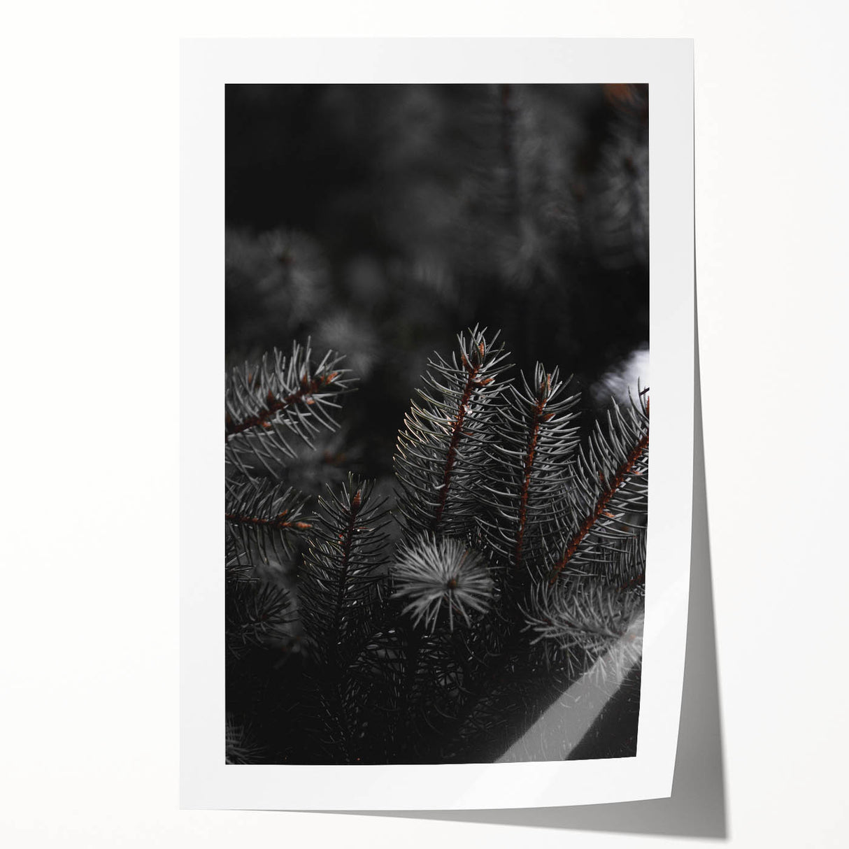 Whispering Pines - Dark Forest Rustic Wall Art