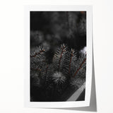 Whispering Pines - Dark Forest Rustic Wall Art