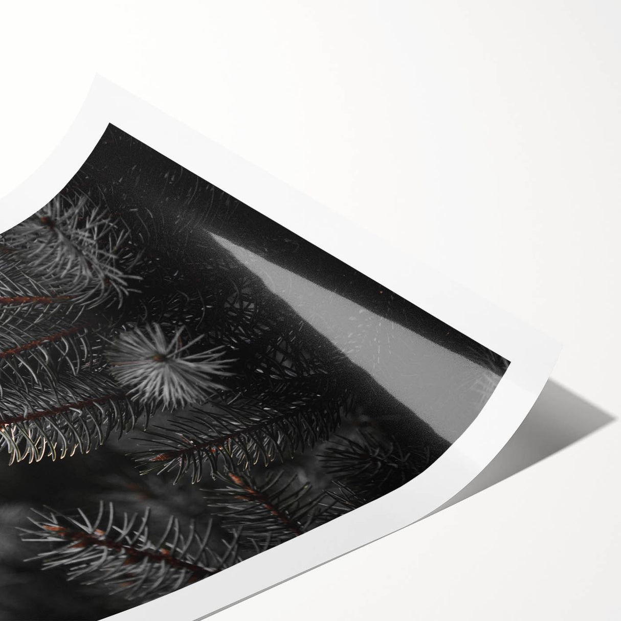 Whispering Pines - Dark Forest Rustic Wall Art