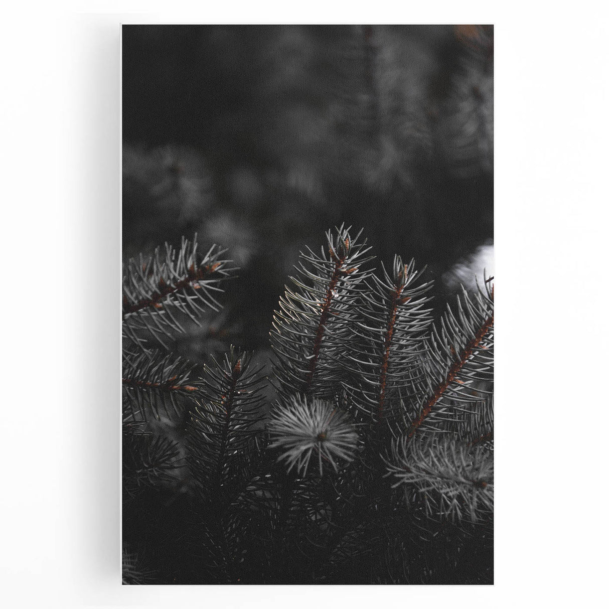 Whispering Pines - Dark Forest Rustic Wall Art