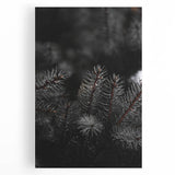 Whispering Pines - Dark Forest Rustic Wall Art