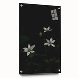 Ephemeral White Blossoms - Minimalist Floral Art