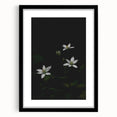 Ephemeral White Blossoms - Minimalist Floral Art