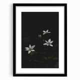 Ephemeral White Blossoms - Minimalist Floral Art