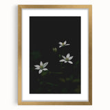 Ephemeral White Blossoms - Minimalist Floral Art
