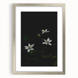 Ephemeral White Blossoms - Minimalist Floral Art