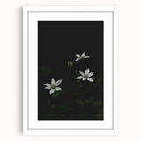 Ephemeral White Blossoms - Minimalist Floral Art