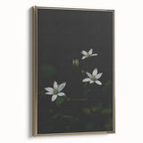 Ephemeral White Blossoms - Minimalist Floral Art