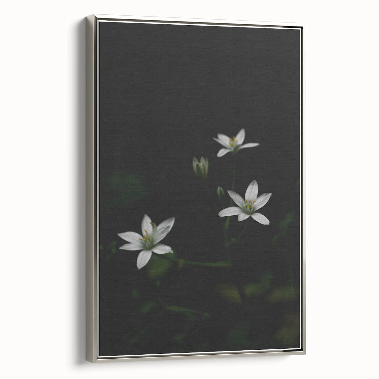 Ephemeral White Blossoms - Minimalist Floral Art