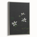 Ephemeral White Blossoms - Minimalist Floral Art