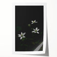 Ephemeral White Blossoms - Minimalist Floral Art