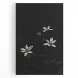 Ephemeral White Blossoms - Minimalist Floral Art