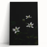 Ephemeral White Blossoms - Minimalist Floral Art