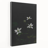Ephemeral White Blossoms - Minimalist Floral Art