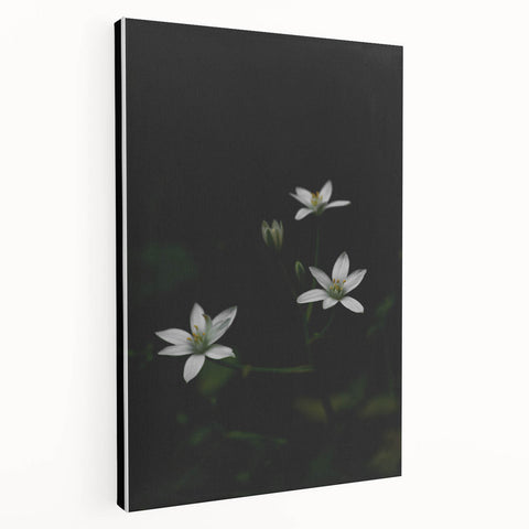 Ephemeral White Blossoms - Minimalist Floral Art