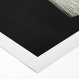 Traditional Broom Pair - Rustic Household Wall Art