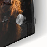 Majestic Highland Cow - Rustic Farmhouse Animal Art