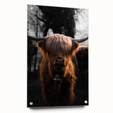 Majestic Highland Cow - Rustic Farmhouse Animal Art