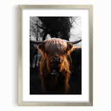 Majestic Highland Cow - Rustic Farmhouse Animal Art