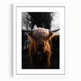 Majestic Highland Cow - Rustic Farmhouse Animal Art