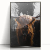 Majestic Highland Cow - Rustic Farmhouse Animal Art