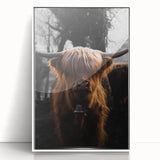 Majestic Highland Cow - Rustic Farmhouse Animal Art