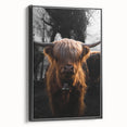 Majestic Highland Cow - Rustic Farmhouse Animal Art